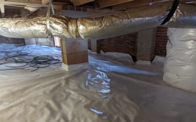 Warning Signs of Crawl Space Humidity Problems