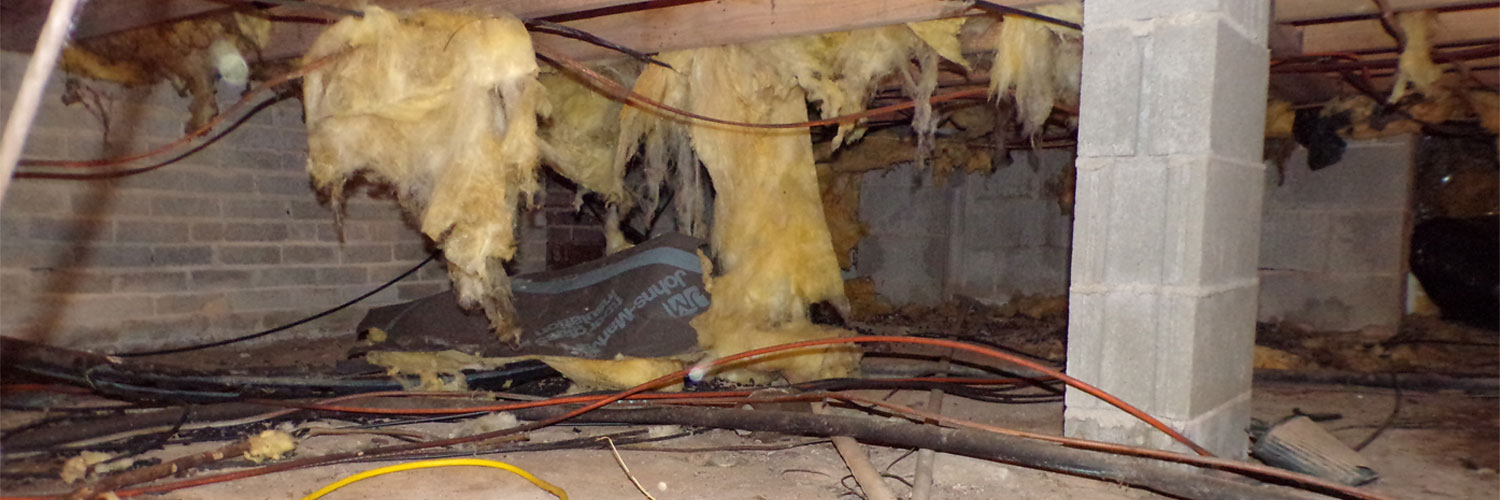 Crawlspace insulation rotting due to humidity and old age 